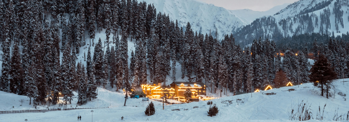 המדריך המלא לחופשת חורף